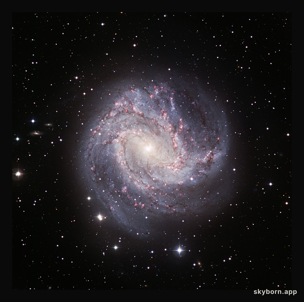 M83: The Thousand-Ruby Galaxy