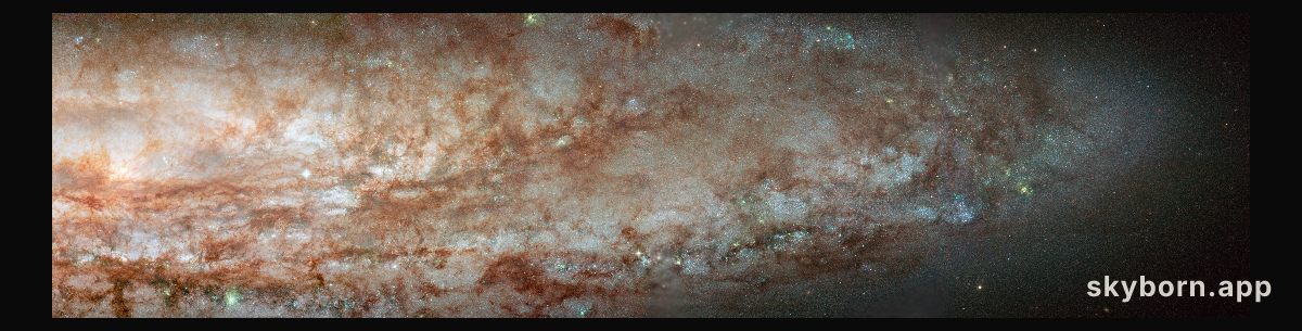 NGC 253 Close-Up