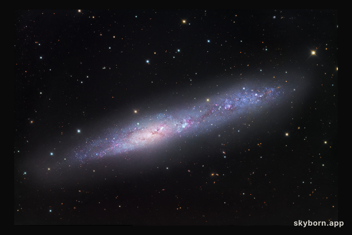 Irregular Galaxy NGC 55