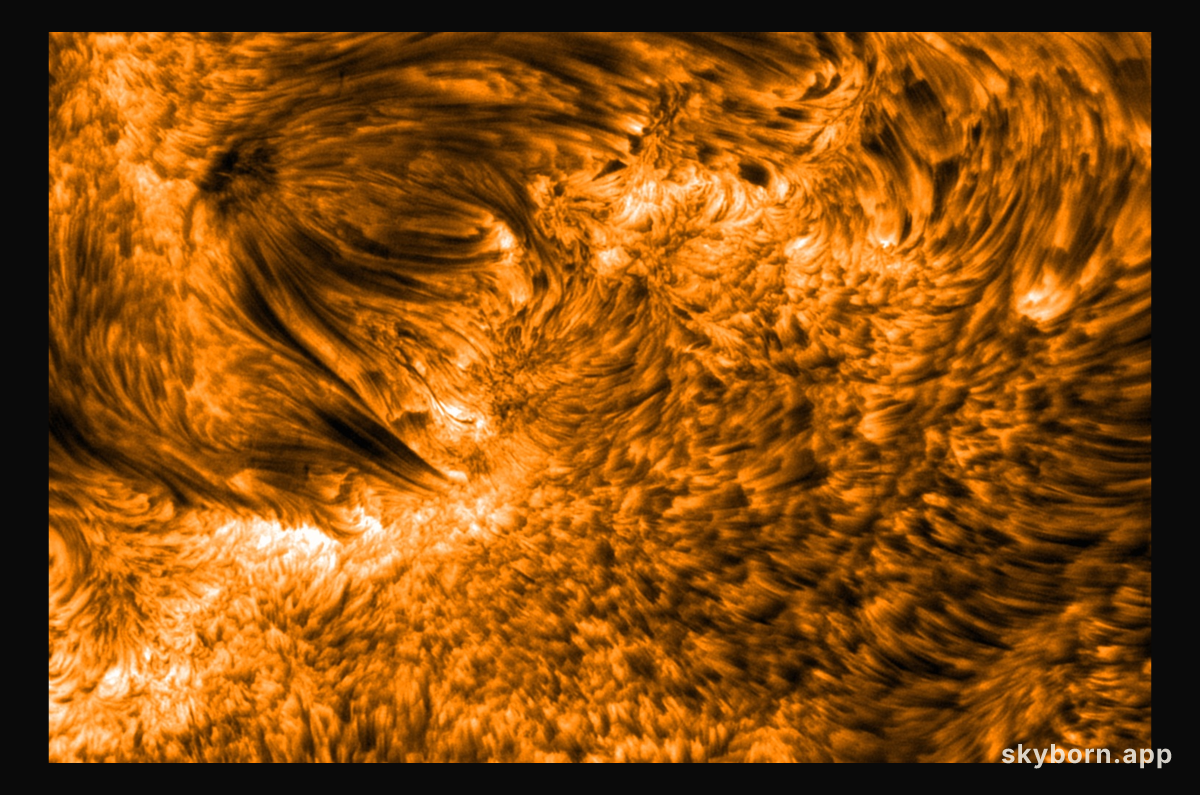 Spicules: Jets on the Sun