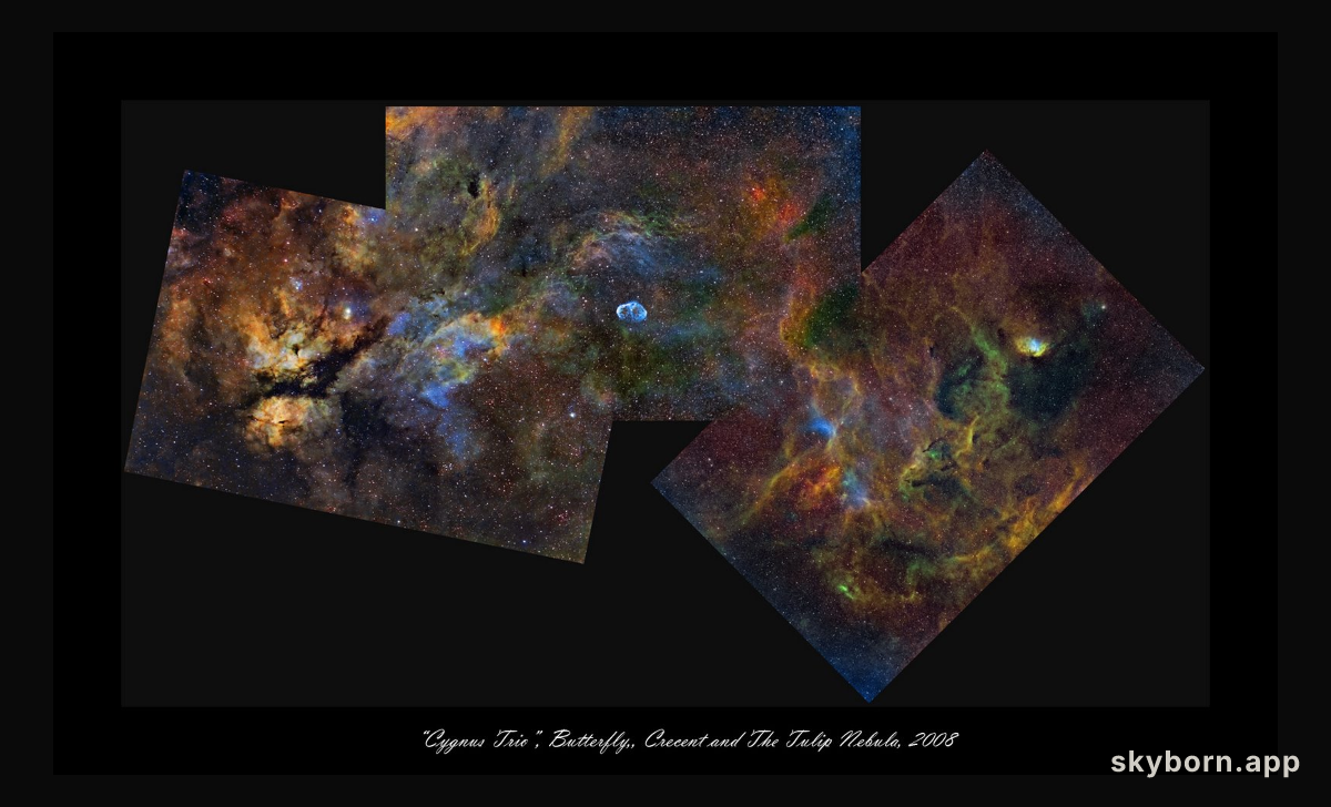 Cygnus Trio