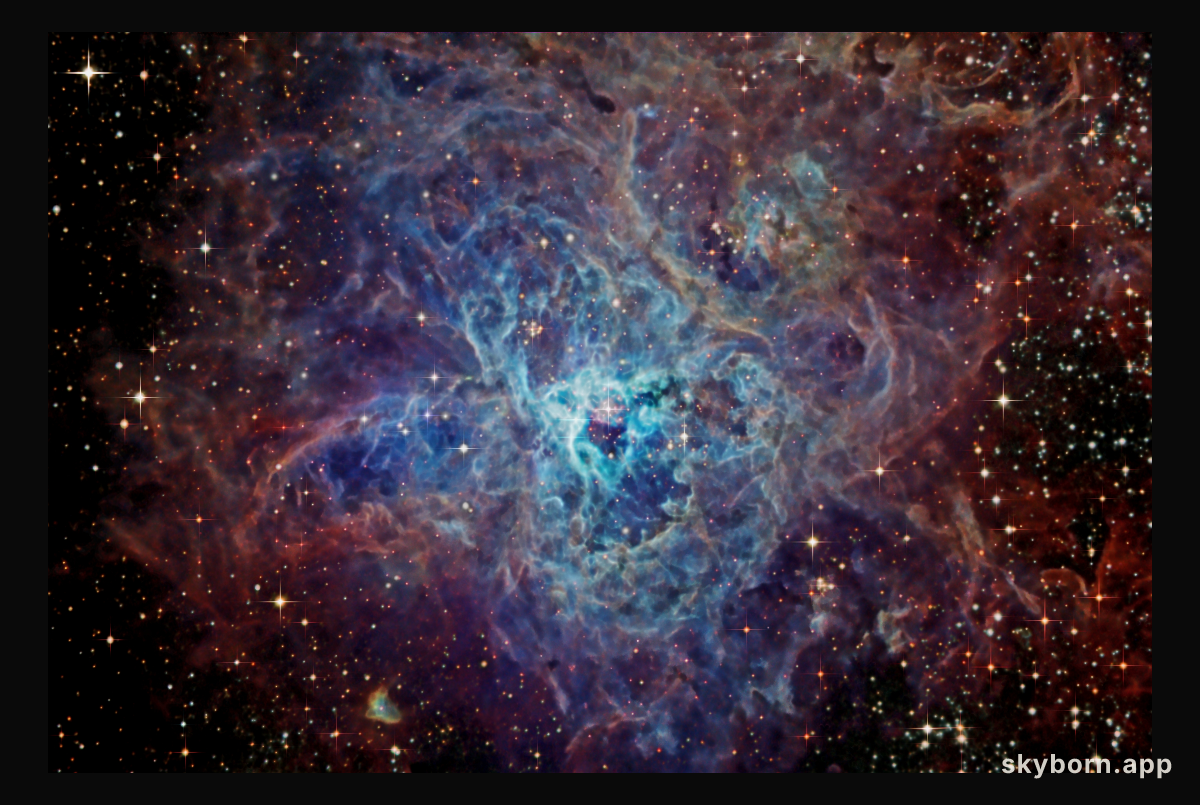 The Cosmic Web of the Tarantula Nebula