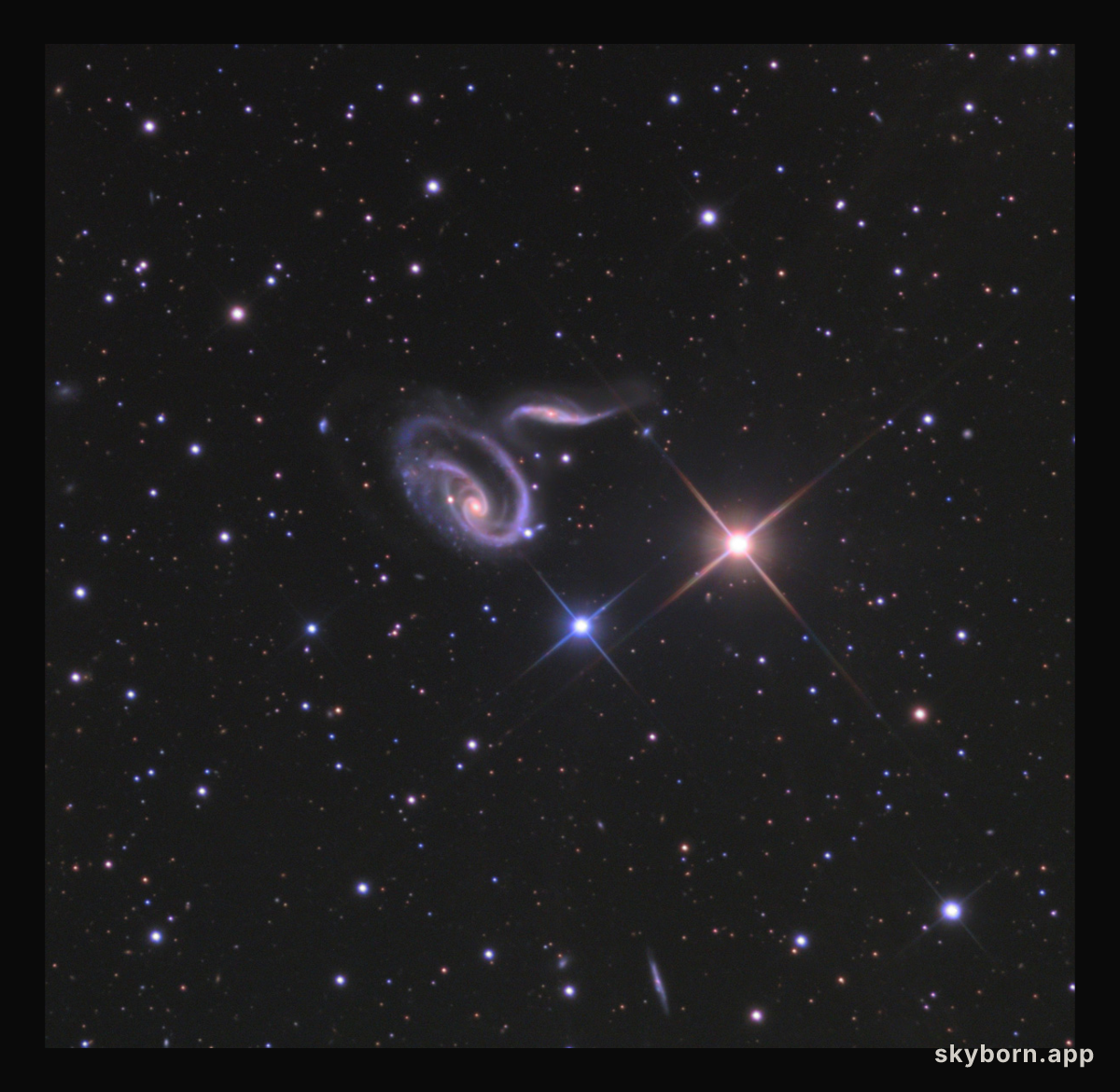 Arp 273