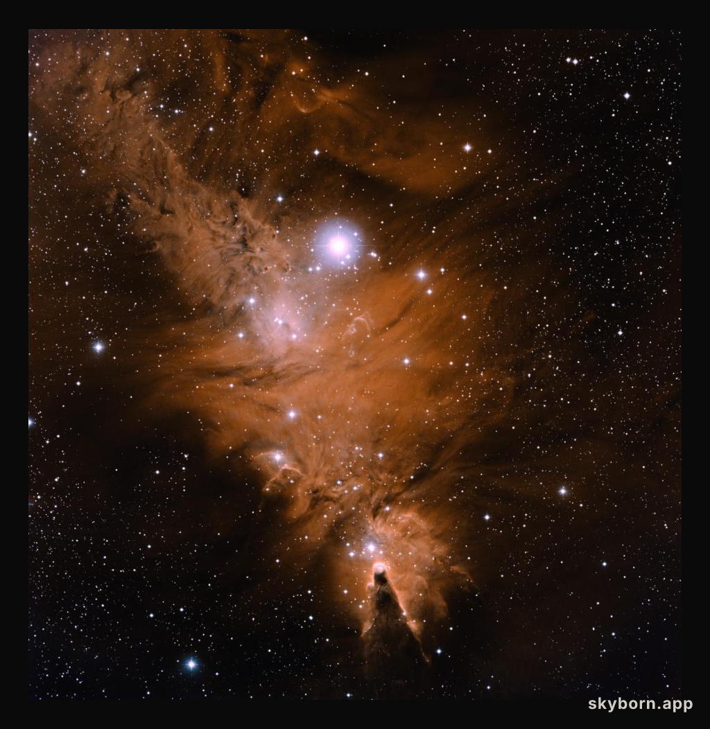 In the Vicinity of the Cone Nebula