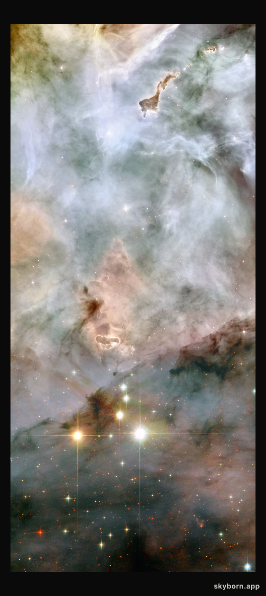 Massive Stars Resolved in the Carina Nebula