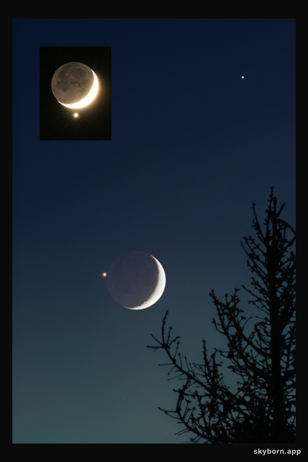 Venus in the Moon
