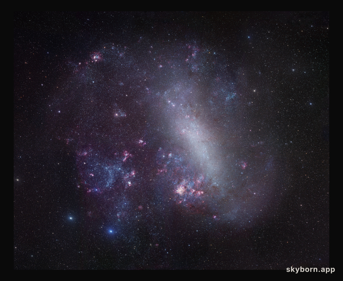 The Large Cloud of Magellan