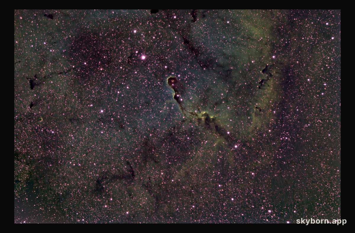 The Elephant's Trunk in IC 1396