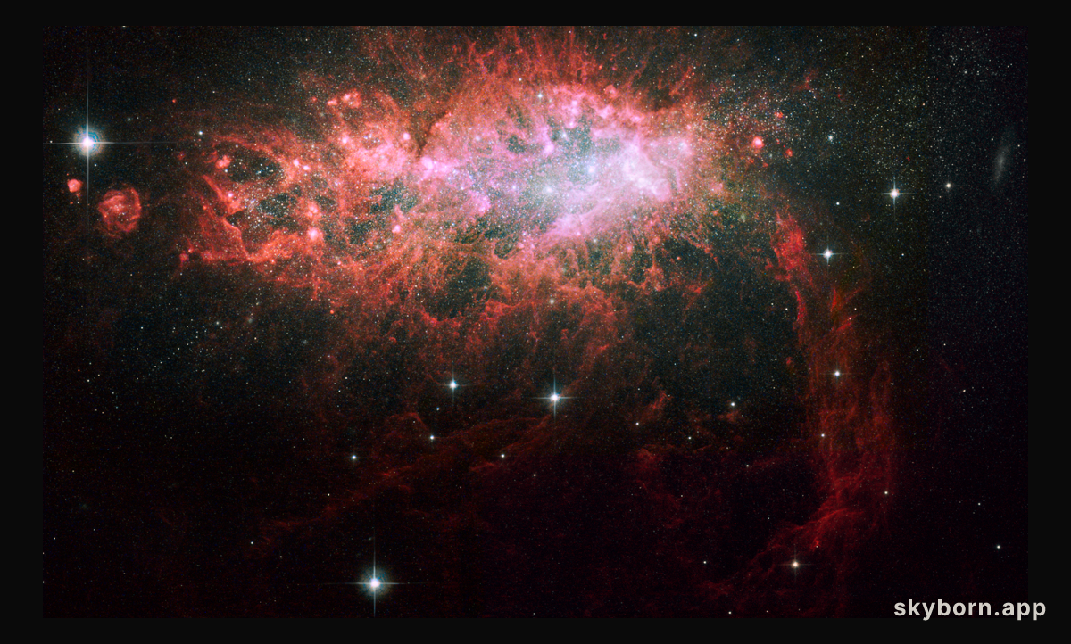 NGC 1569: Starburst in a Dwarf Irregular Galaxy