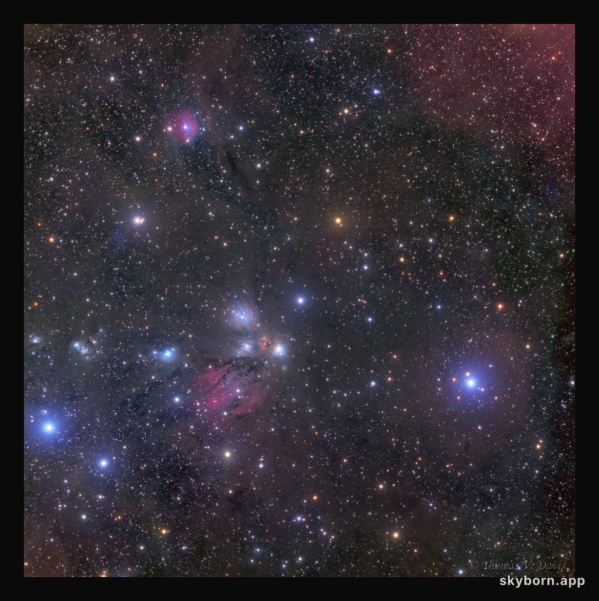 NGC 2170: Celestial Still Life