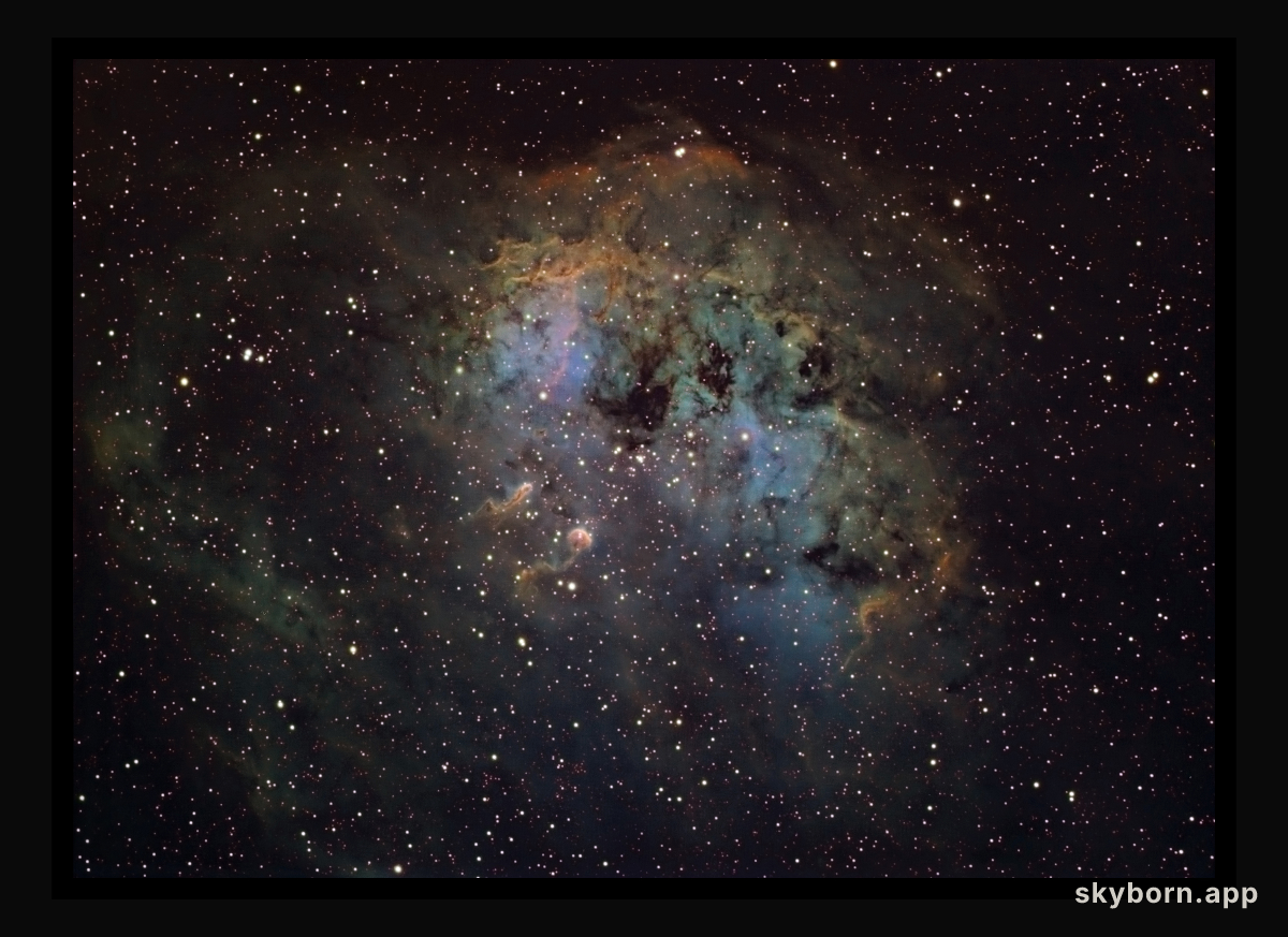 IC 410 and NGC 1893