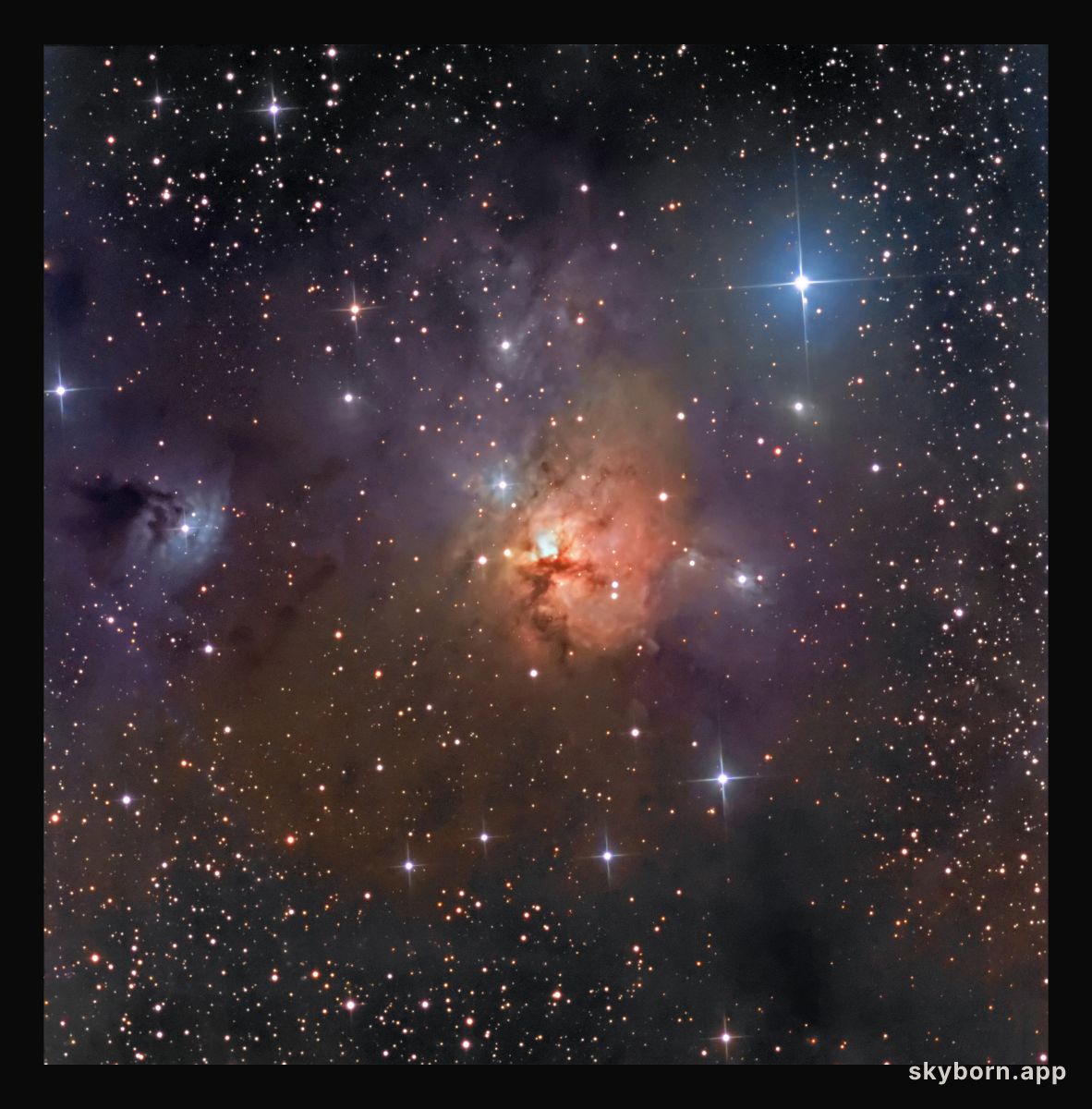 NGC 1579: Trifid of the North