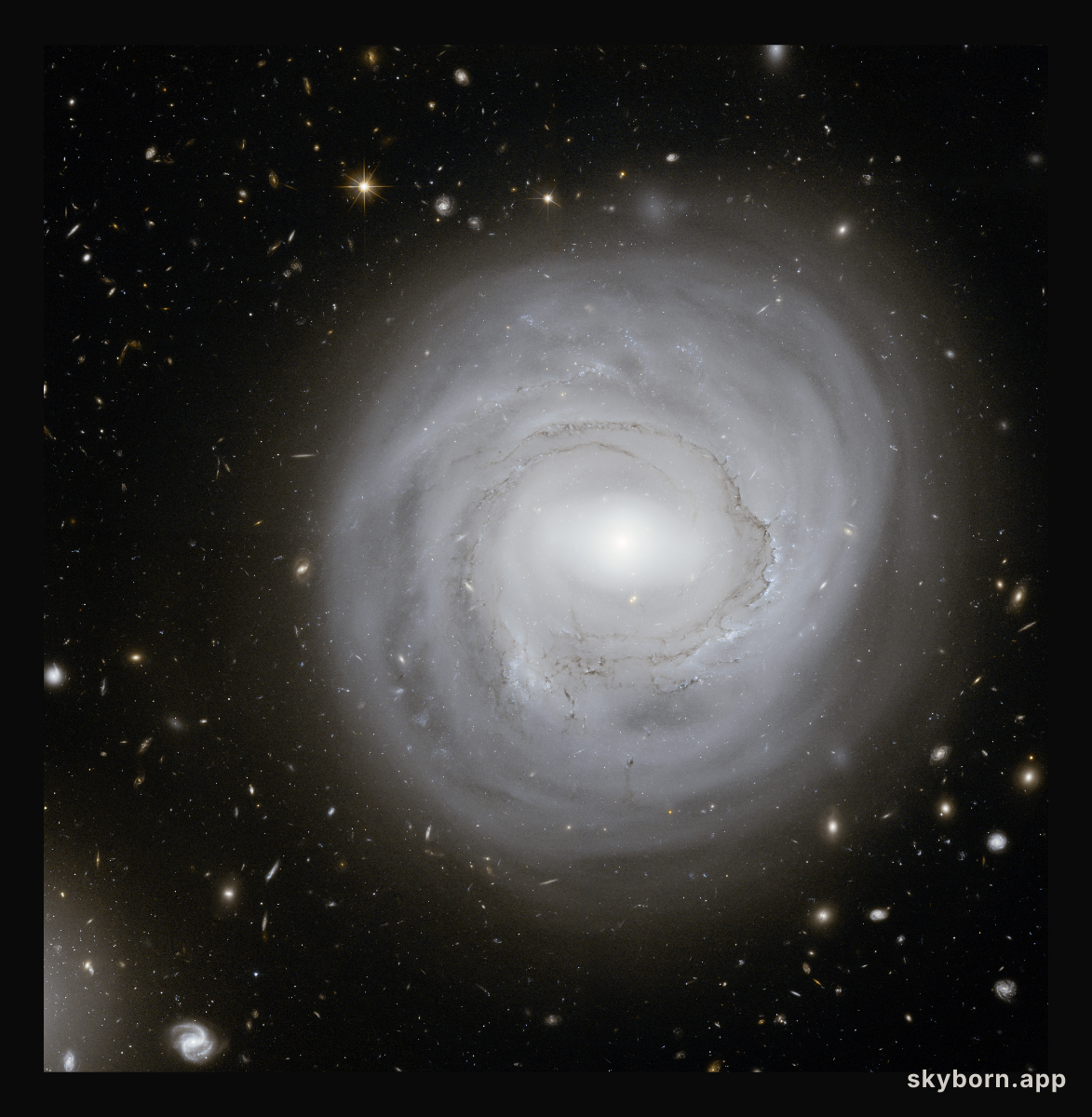 Anemic Galaxy NGC 4921 at the Edge