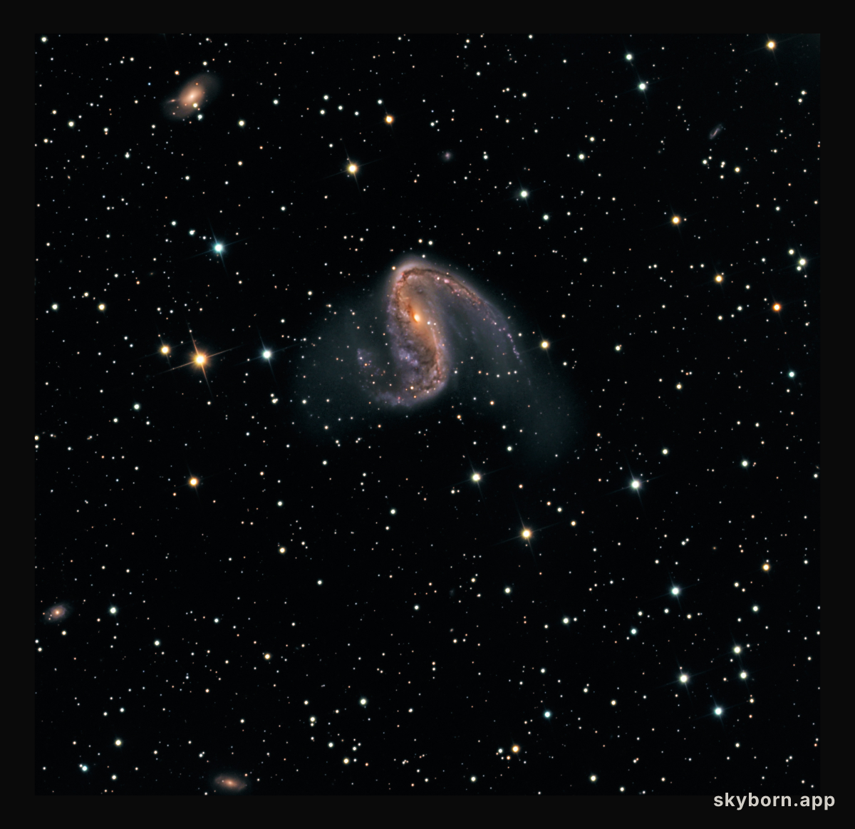 NGC 2442: Galaxy in Volans
