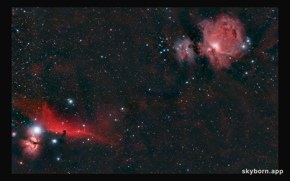 Horsehead and Orion Nebulae