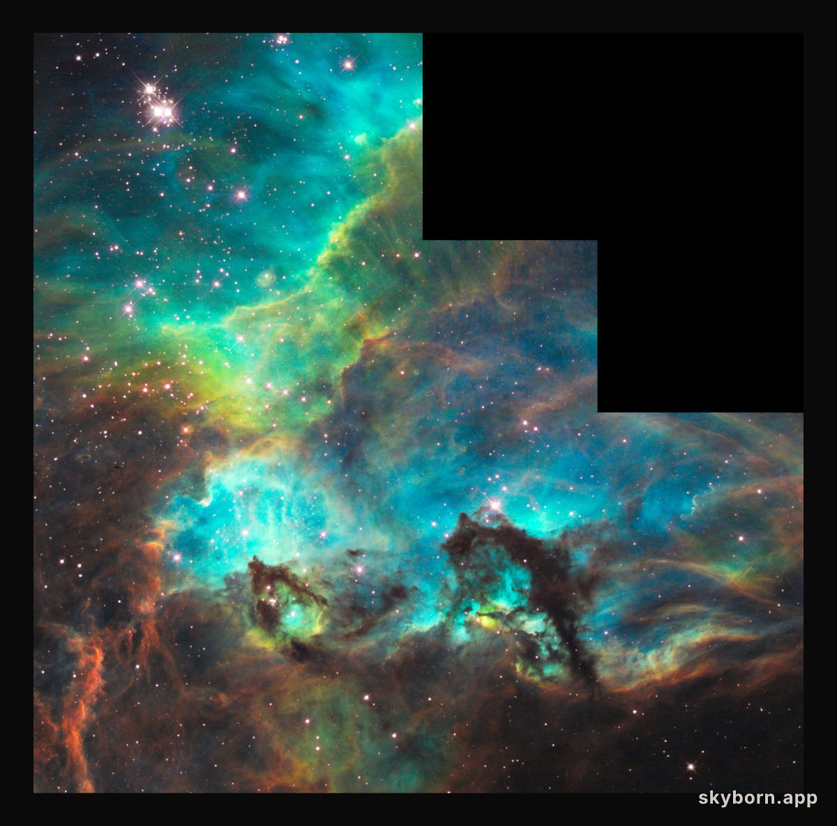 The Seahorse of the Large Magellanic Cloud