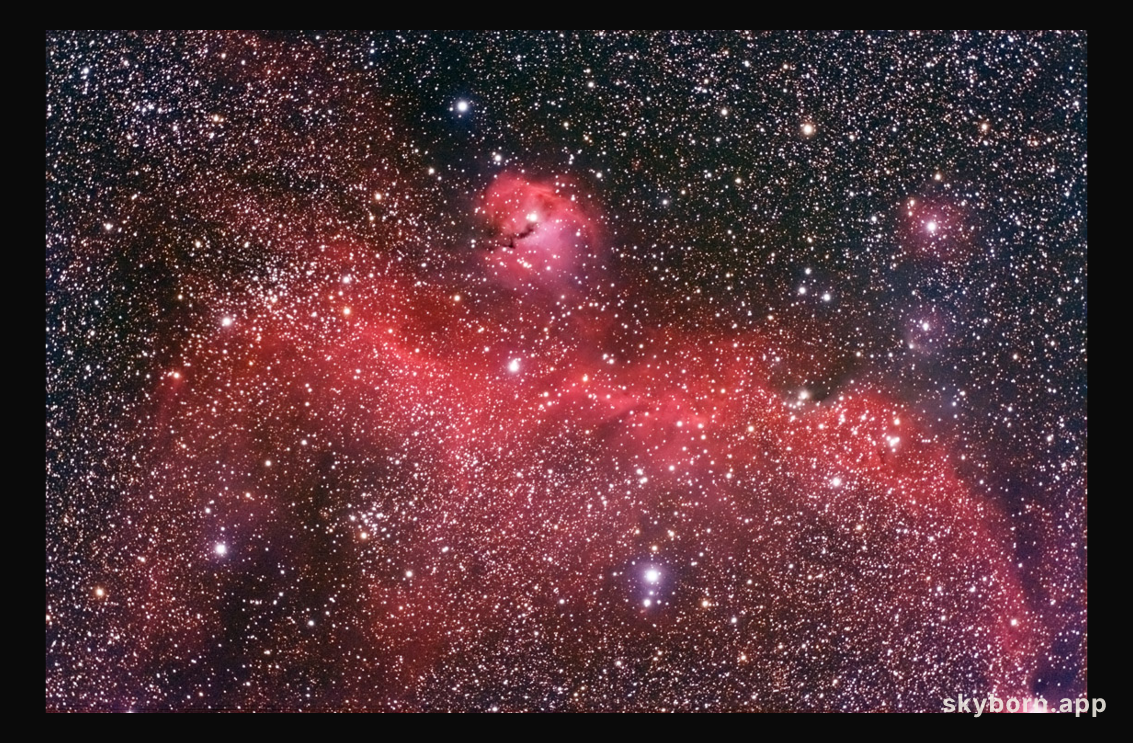 The Seagull Nebula
