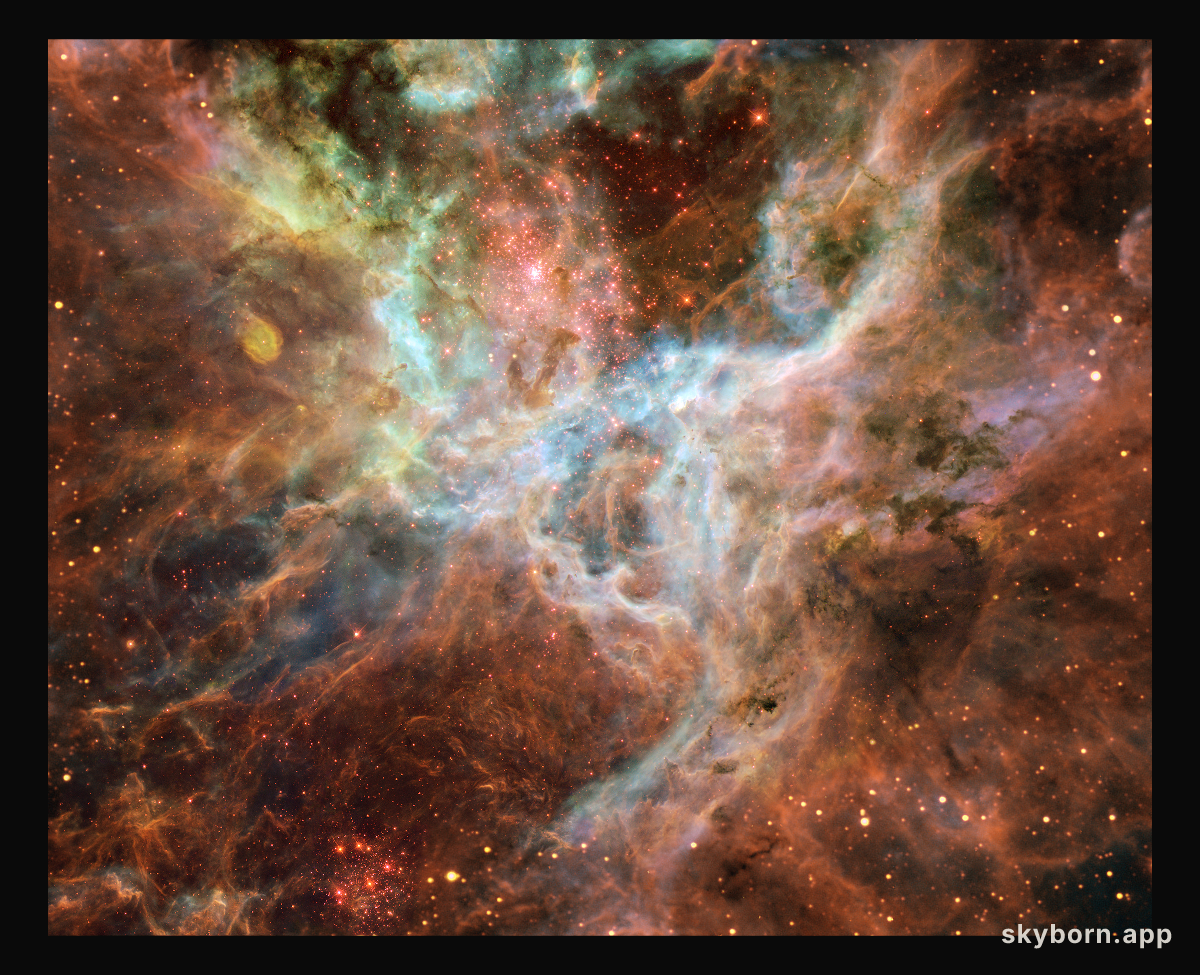 In the Heart of the Tarantula Nebula