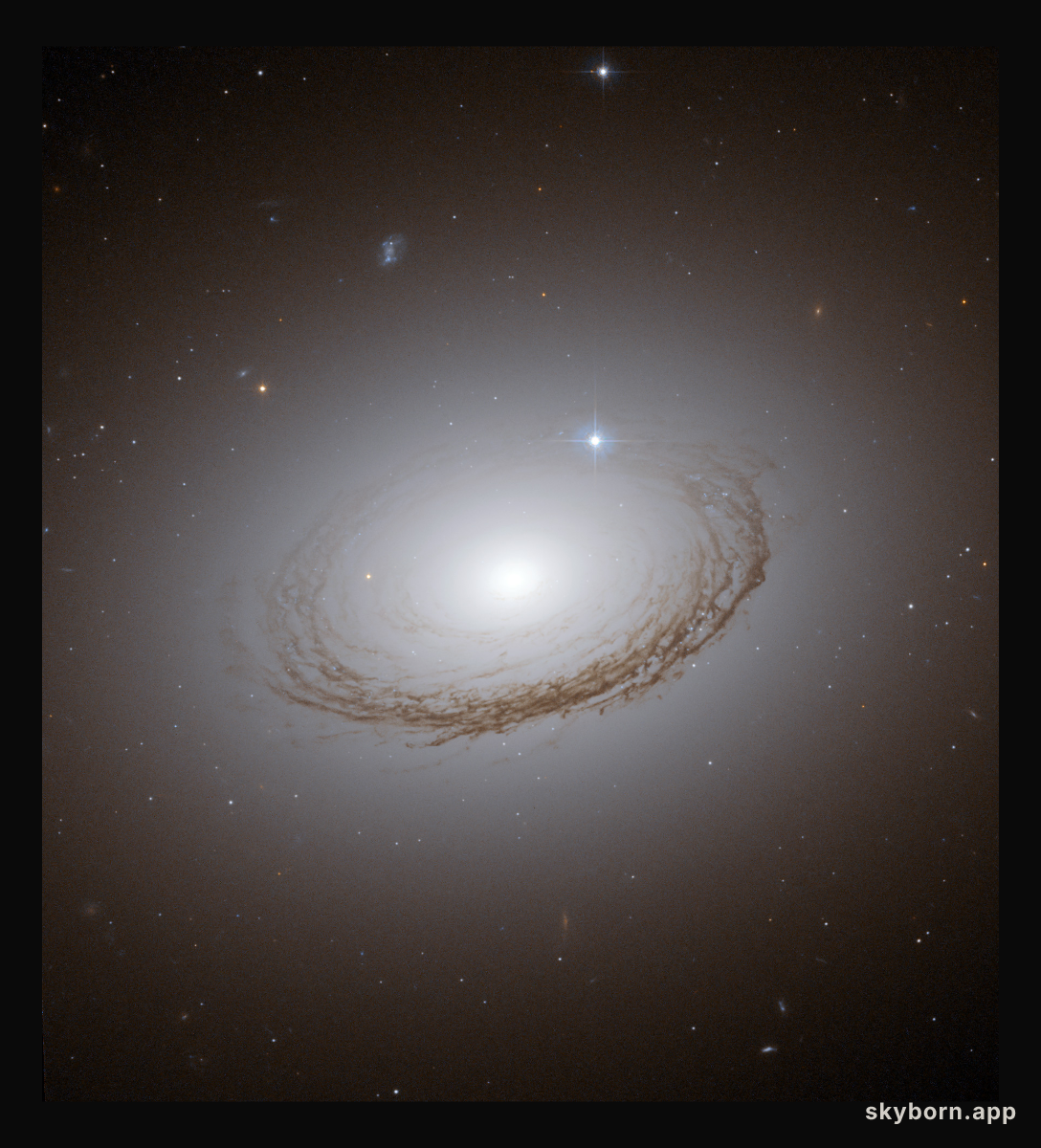 Unusual Dusty Galaxy NGC 7049