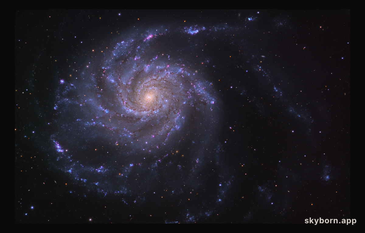 M101: The Pinwheel Galaxy