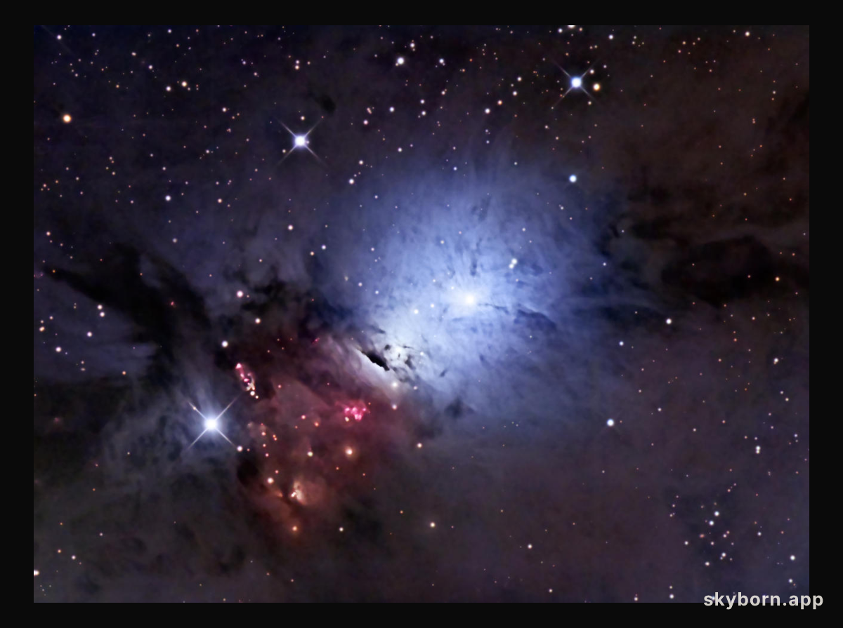 NGC 1333 Stardust