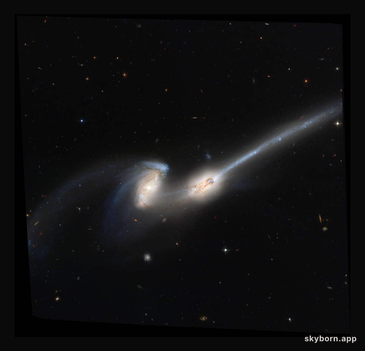 NGC 4676: When Mice Collide