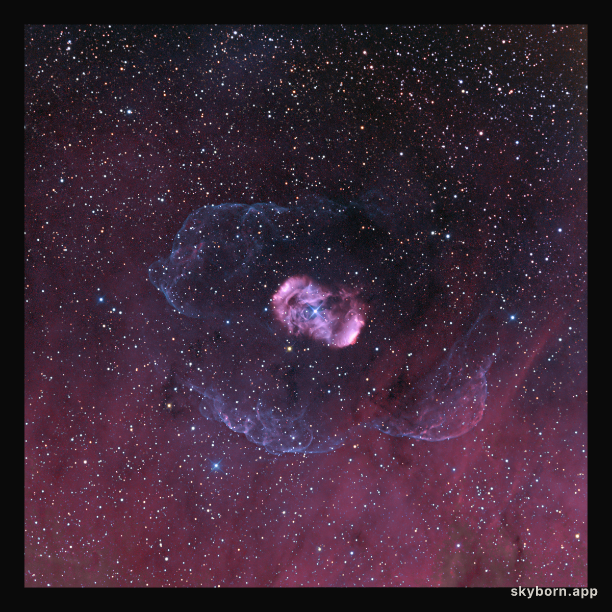 A Halo for NGC 6164