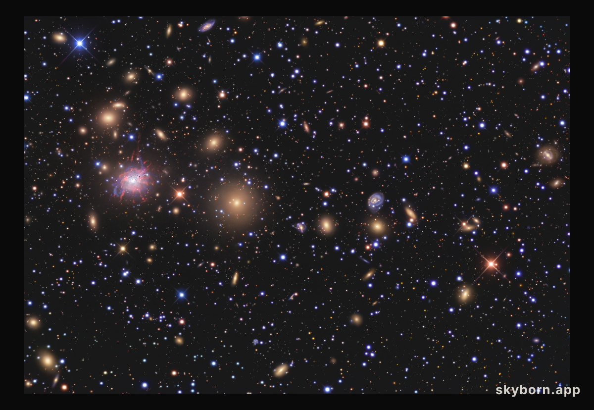 Galaxies of the Perseus Cluster