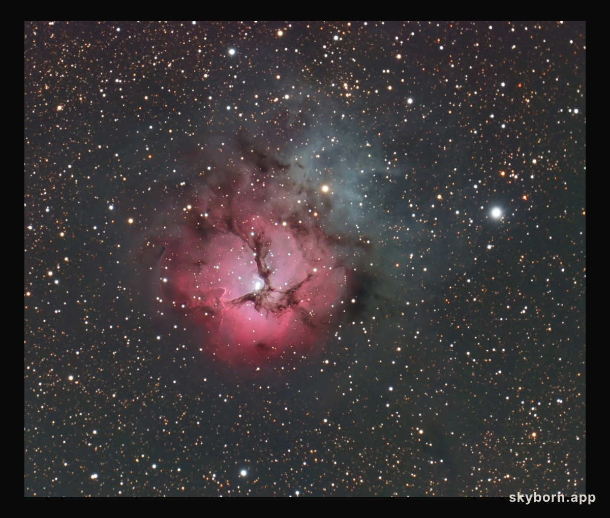 A Beautiful Trifid