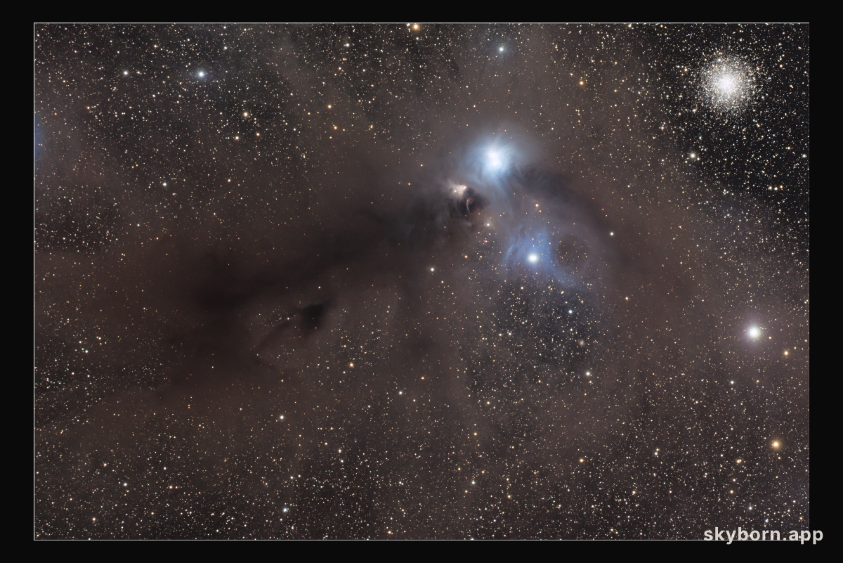 Stars and Dust Across Corona Australis