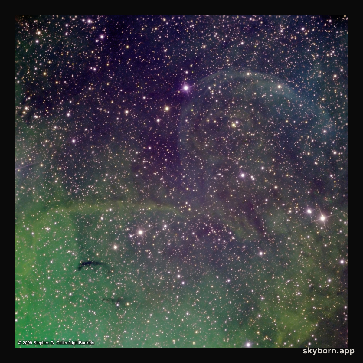 Possible Jet Blown Shells Near Microquasar Cygnus X-1