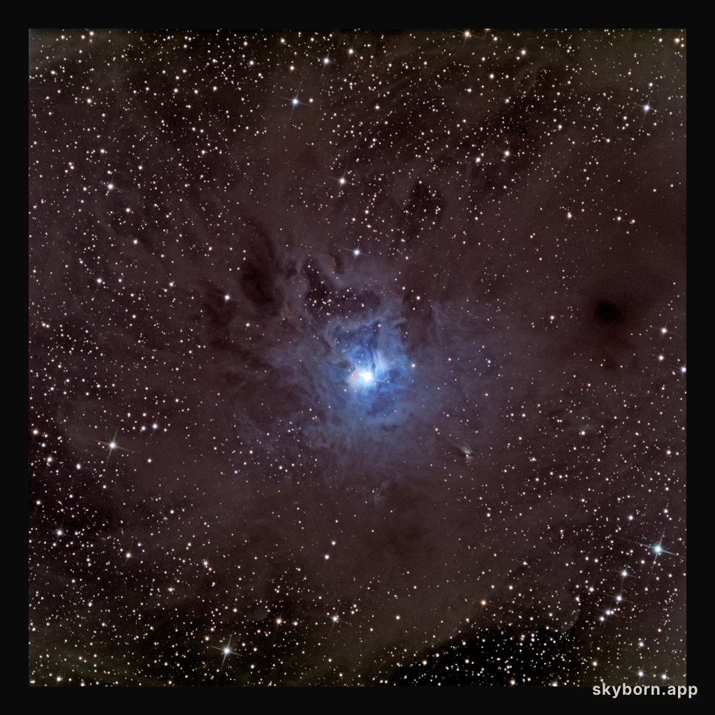 A Dusty Iris Nebula
