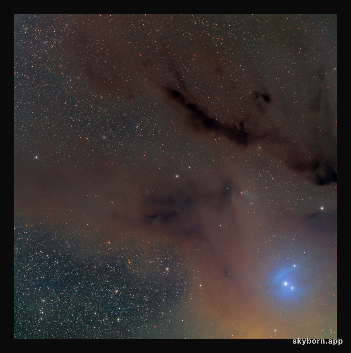 Streaming Dark Nebulas near B44