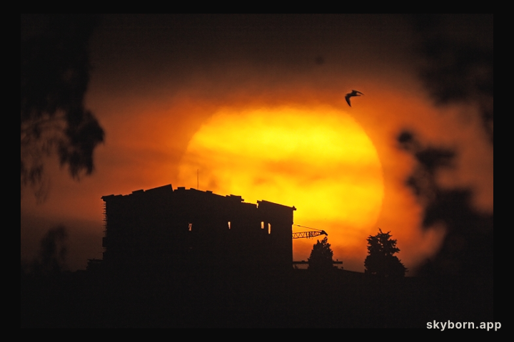 Sunrise over the Parthenon