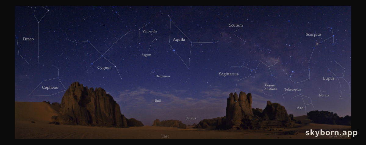 Saharan Starry Night
