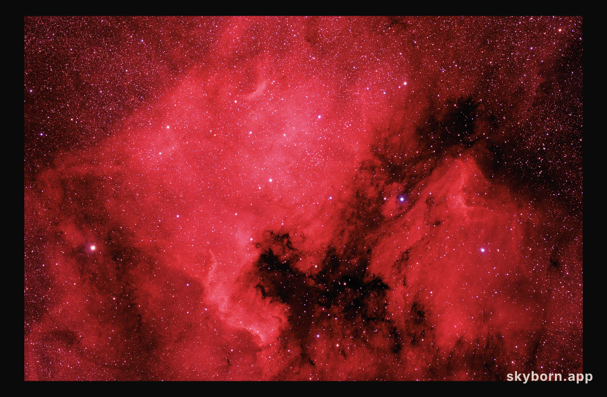 The North America and Pelican Nebulae