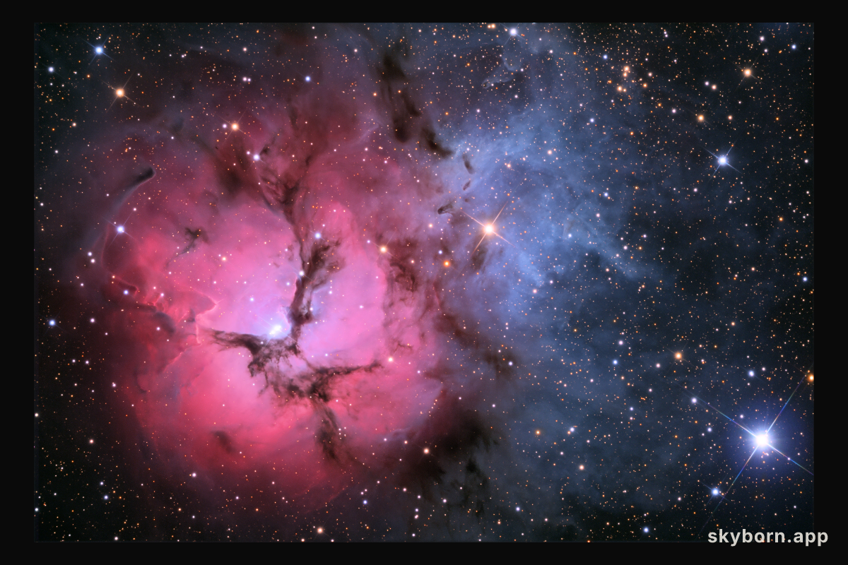 The Trifid Nebula in Stars and Dust