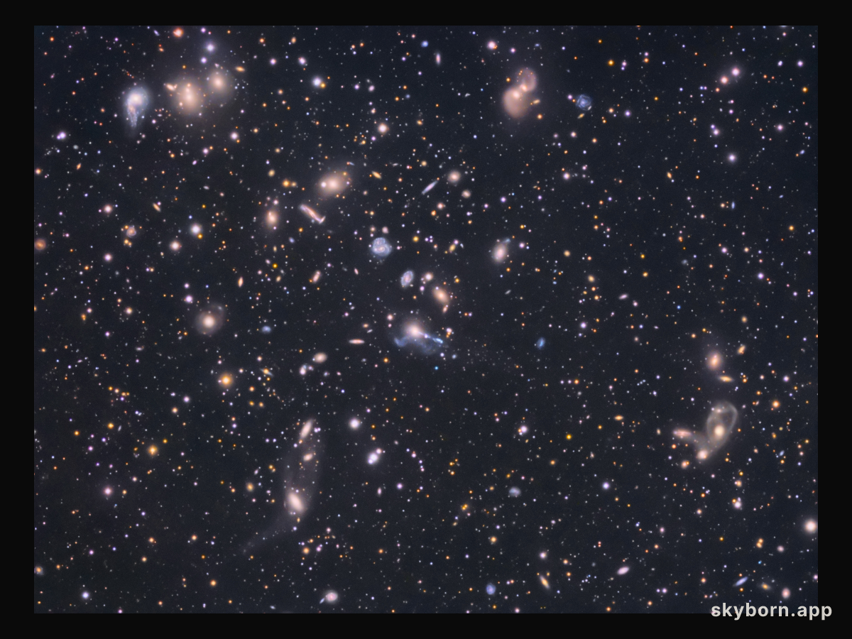 The Hercules Cluster of Galaxies