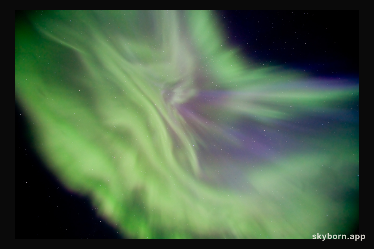 A Floral Aurora Corona