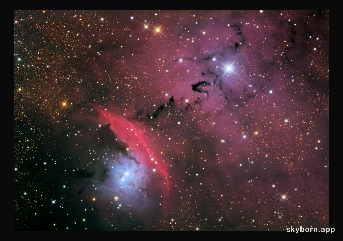 Stars, Dust and Nebula in NGC 6559