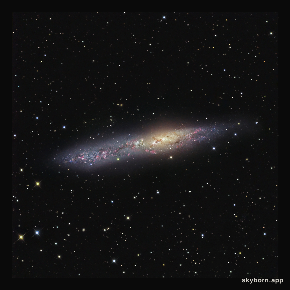 Irregular Galaxy NGC 55