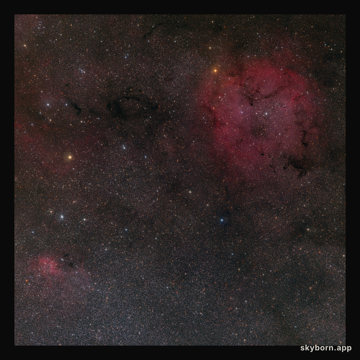 IC 1396 and Surrounding Starfield