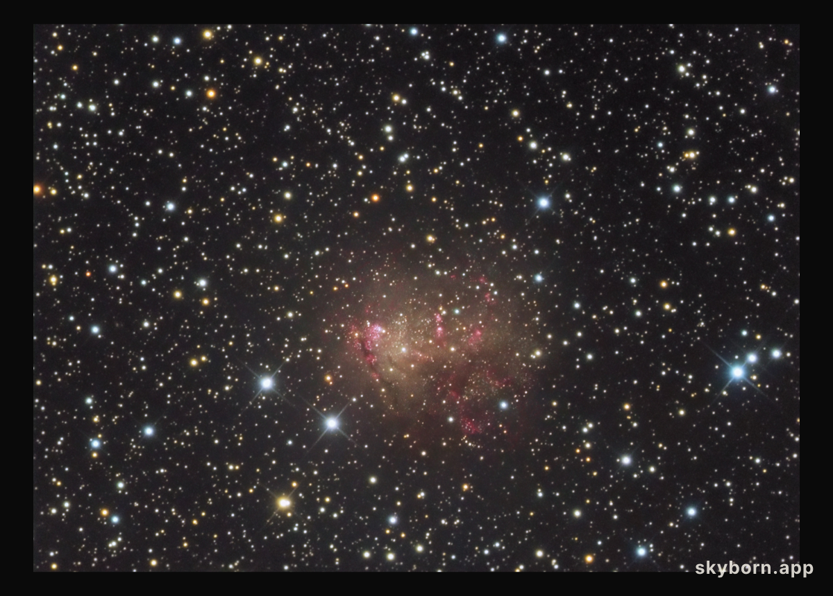 Starburst Galaxy IC 10