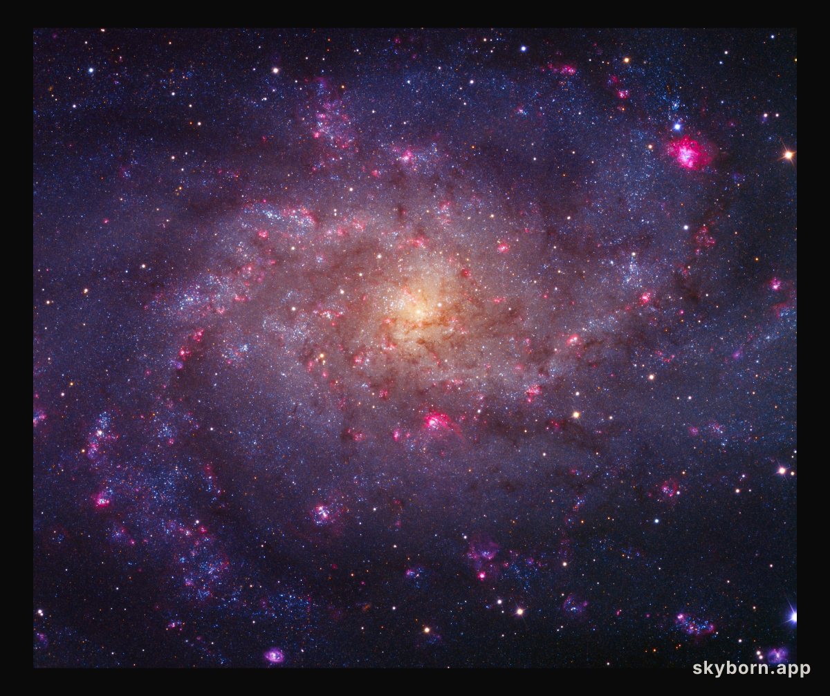 Bright Nebulae of M33