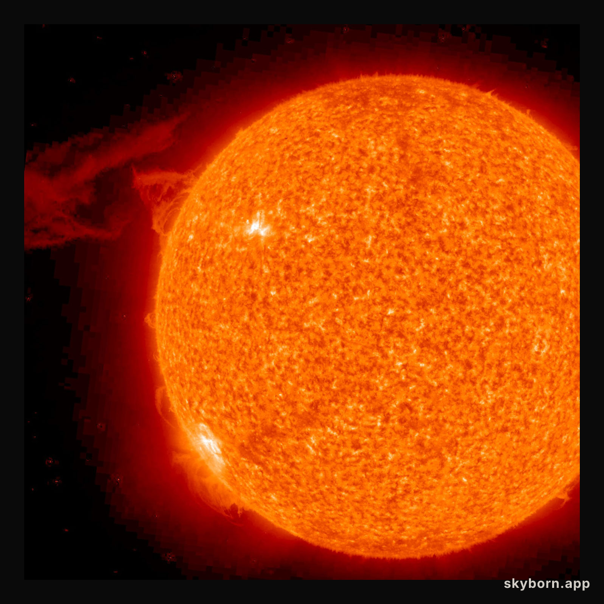 A Solar Prominence Erupts in STEREO