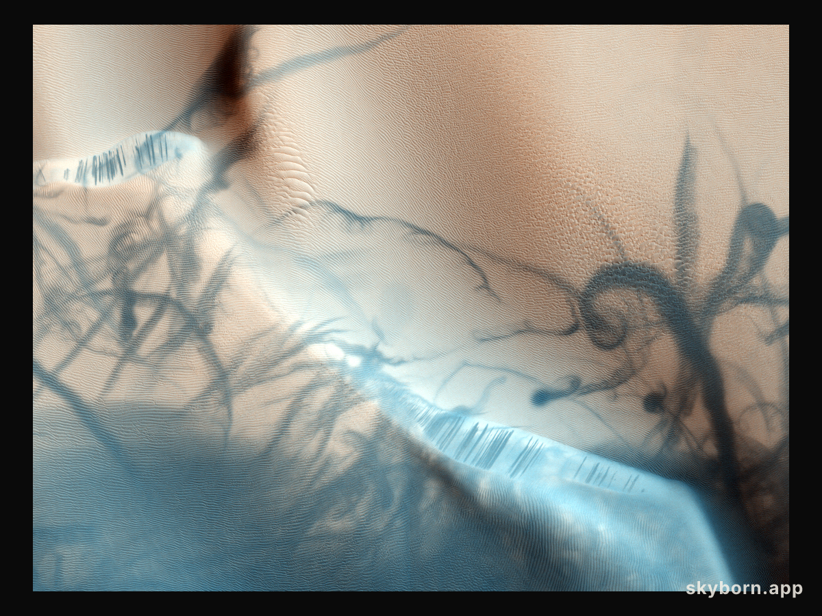 Martian Dust Devil Trails