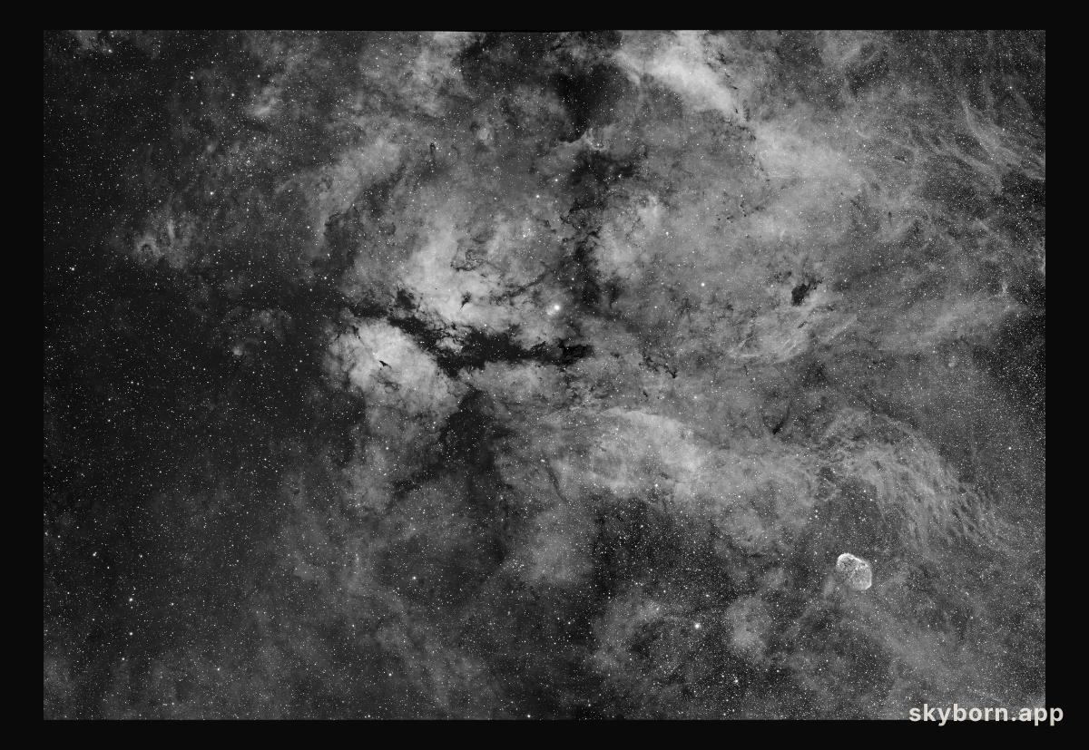 Central Cygnus Skyscape