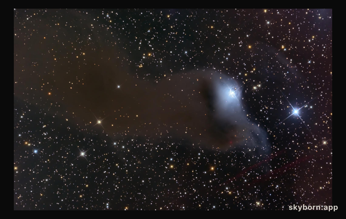 VdB 152: Reflection Nebula in Cepheus
