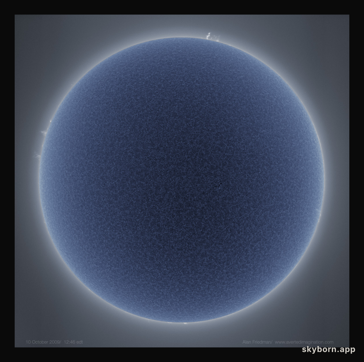 Blue Sun Bristling