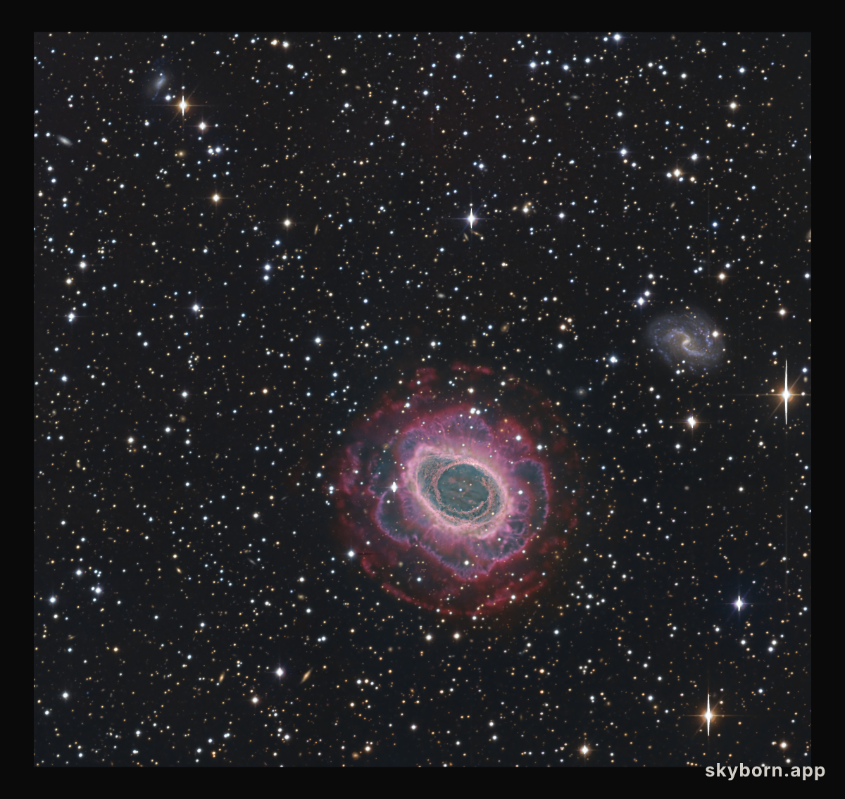Ring Nebula Deep Field
